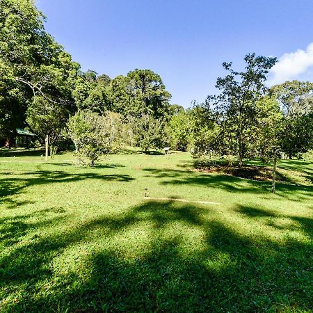 Готель Refugio Ecologico Amadamata Нова-Фрибургу Екстер'єр фото