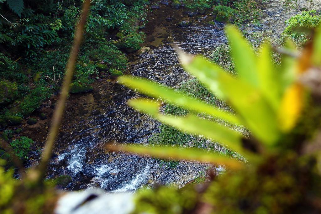 Готель Refugio Ecologico Amadamata Нова-Фрибургу Екстер'єр фото